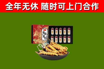 天峻县回收冬虫夏草价格